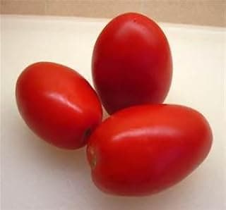 Midnight Roma Tomatoes