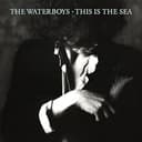 This Is the Sea (album)