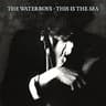 This Is the Sea (album)