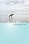The Untethered Soul