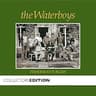 Fisherman's Blues (album)