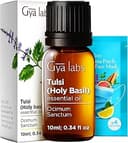 Holy Basil (Tulsi)