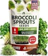 Broccoli Sprouts