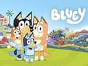 Bluey