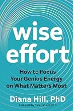 Wise Effort: How to Focus Your Genius Energy on What Matters Most