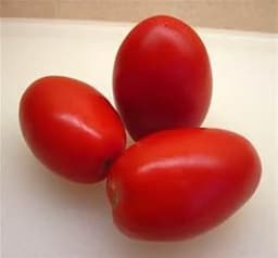 Midnight Roma Tomatoes