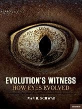 Evolution's Witness: How Eyes Evolved