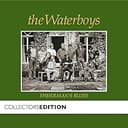 Fisherman's Blues (album)
