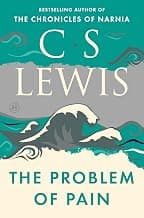 The Problem of Pain and Suffering