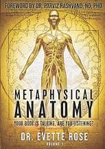 Metaphysical Anatomy