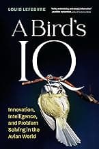 The Science of IQ
