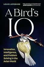 The Science of IQ