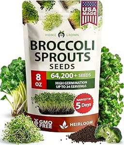 Broccoli Sprouts