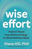 Wise Effort: How to Focus Your Genius Energy on What Matters Most