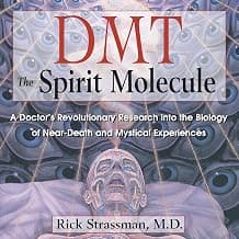 DMT the Spirit Molecule